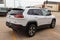 2015 Jeep Cherokee 4WD 4dr Trailhawk