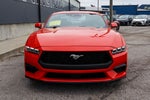 2024 Ford Mustang EcoBoost Fastback