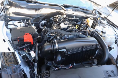 2024 Ford Mustang EcoBoost Fastback