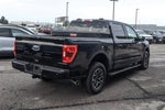 2023 Ford F-150 LARIAT 4WD SuperCrew 6.5' Box