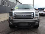 2014 Ford F-150 4WD SuperCrew 145 Platinum
