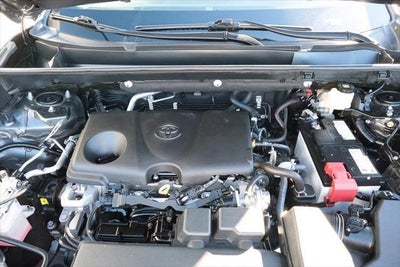 2023 Toyota RAV4 LE AWD