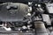 2025 Mazda Mazda CX-50 2.5 S Premium Plus Package AWD